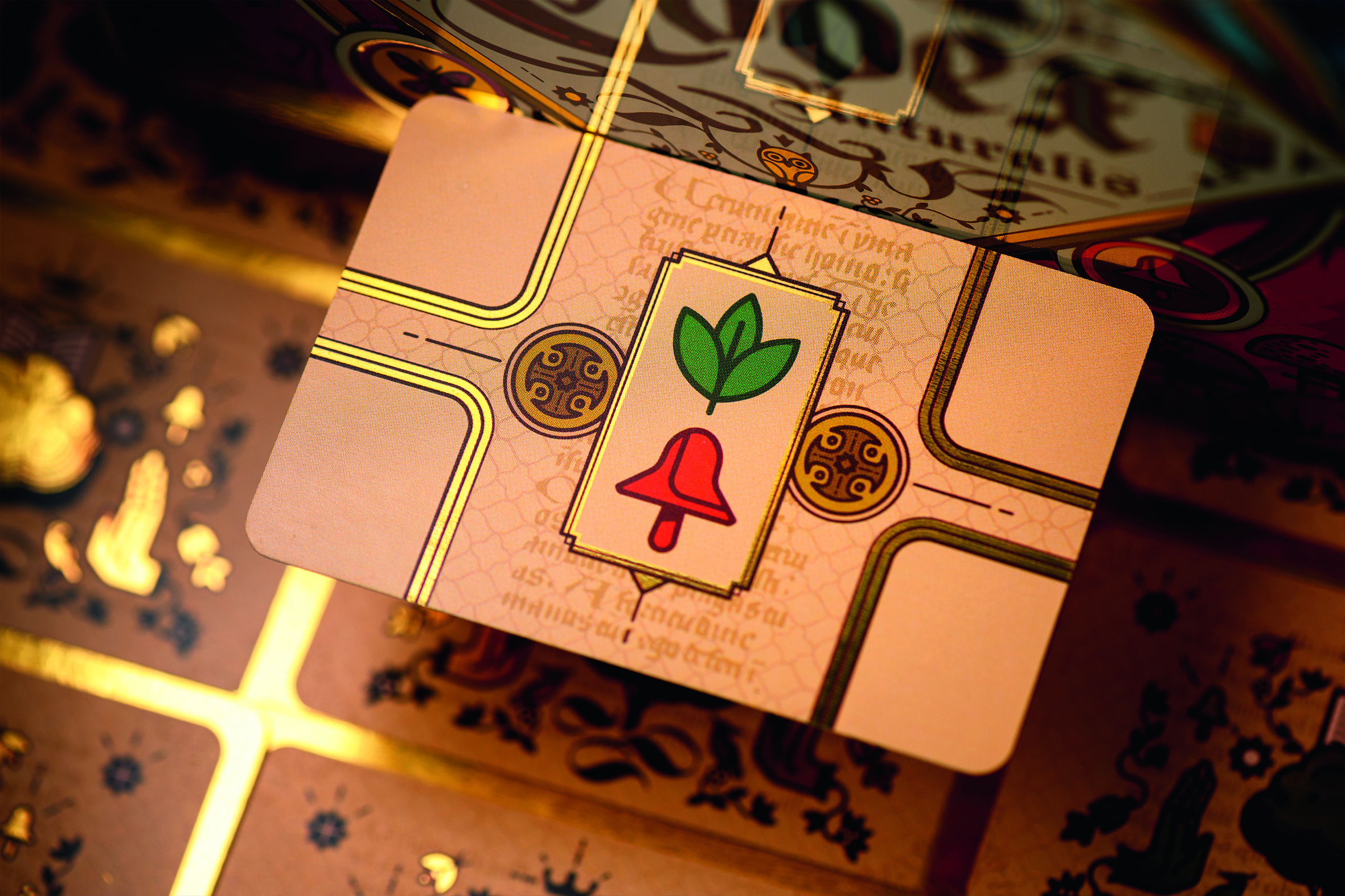 CODEX_photo8